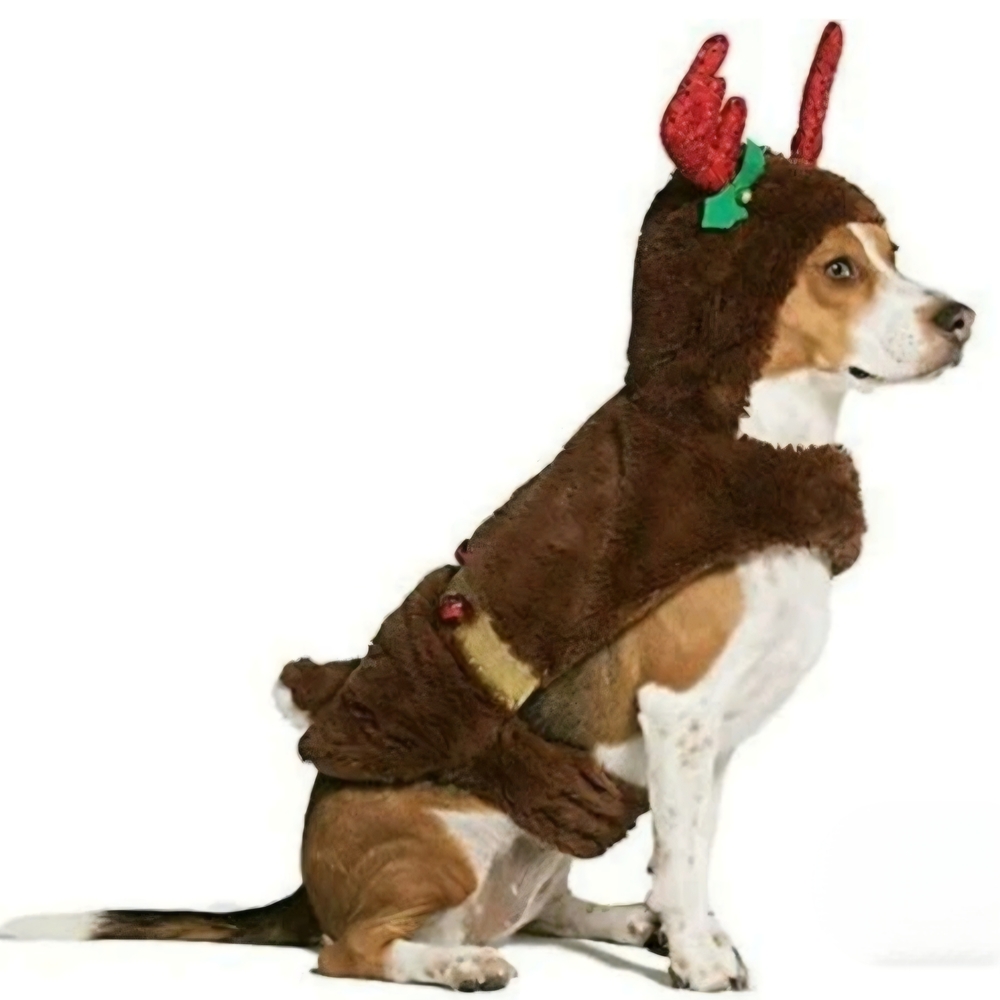 Large Dog Pet Reindeer Costume with Gold Accents, Antlers, Bells